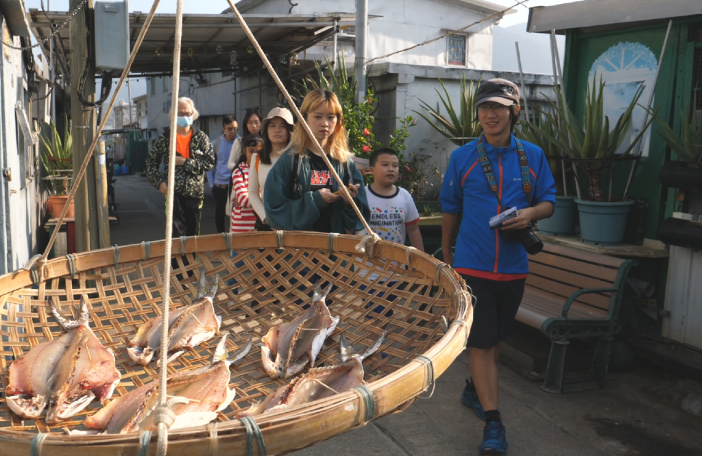 大澳樸色重現·添無限新姿彩